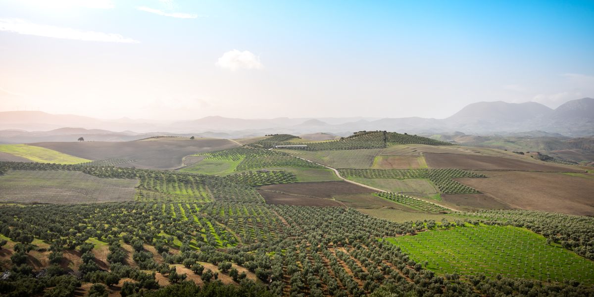 Andalusia Yoga & Wellness