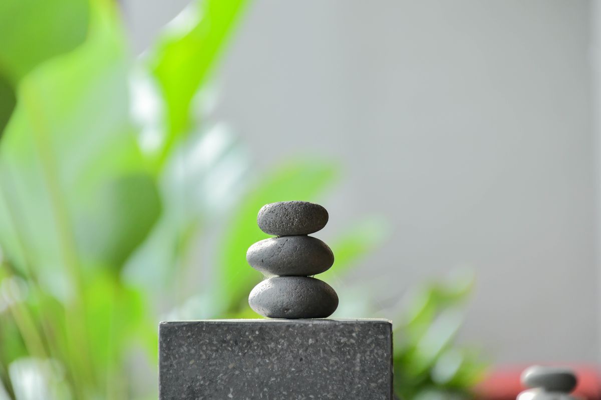 Wellness & Detox