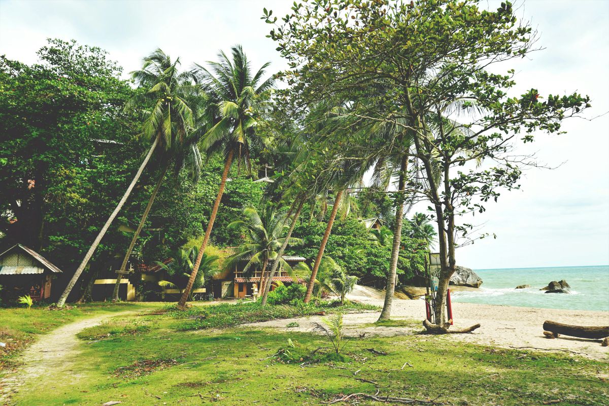 The Yoga Institute Thailand — 200hr YTT